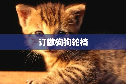 訂做狗狗輪椅