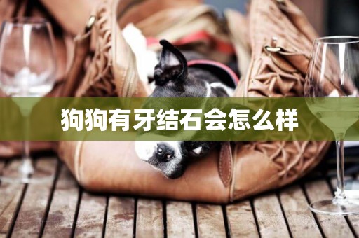 狗狗有牙結石會怎么樣