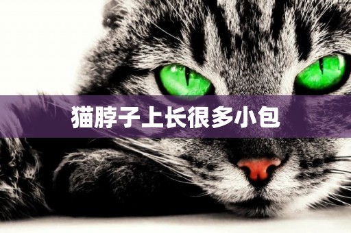 貓脖子上長很多小包