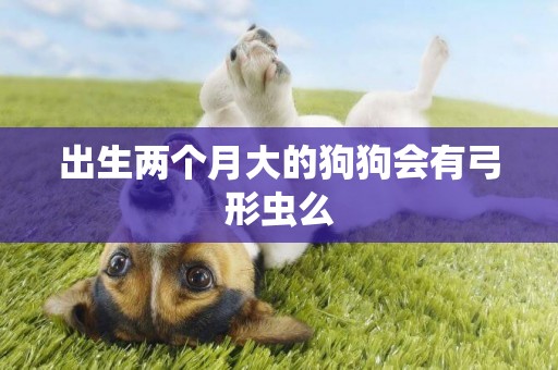出生兩個月大的狗狗會有弓形蟲么