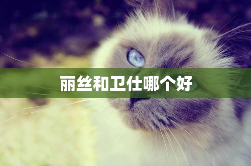 麗絲和衛仕哪個好