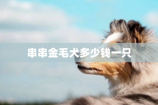 串串金毛犬多少錢一只