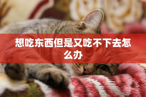 想吃東西但是又吃不下去怎么辦