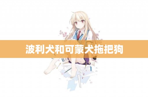 波利犬和可蒙犬拖把狗