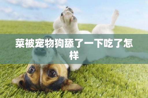 菜被寵物狗舔了一下吃了怎樣