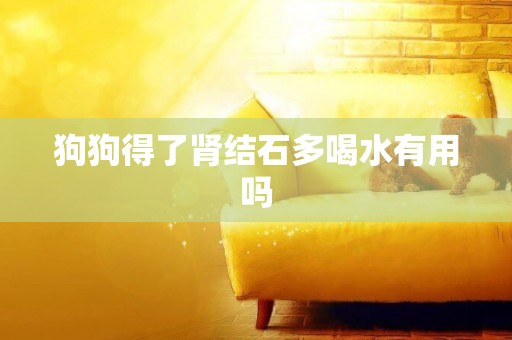 狗狗得了腎結石多喝水有用嗎