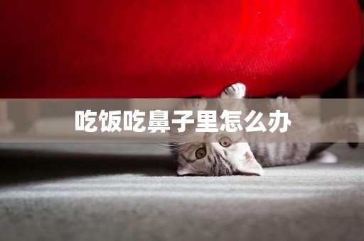吃飯吃鼻子里怎么辦