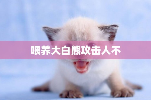 喂養大白熊攻擊人不