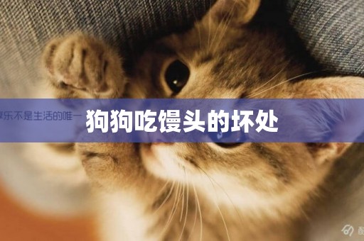 狗狗吃饅頭的壞處
