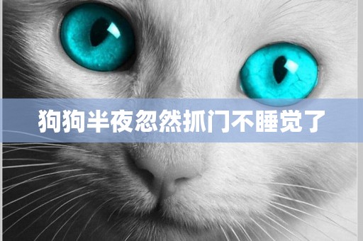 狗狗半夜忽然抓門不睡覺了