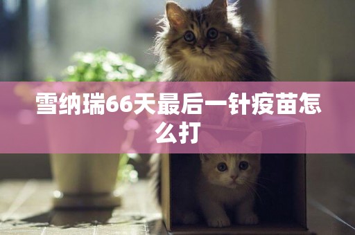 雪納瑞66天最后一針疫苗怎么打