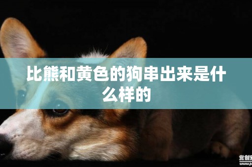 比熊和黃色的狗串出來是什么樣的