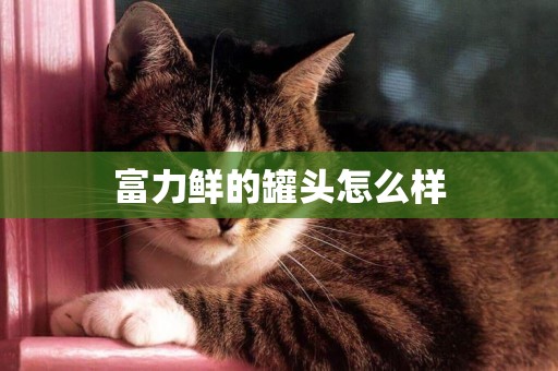 富力鮮的罐頭怎么樣