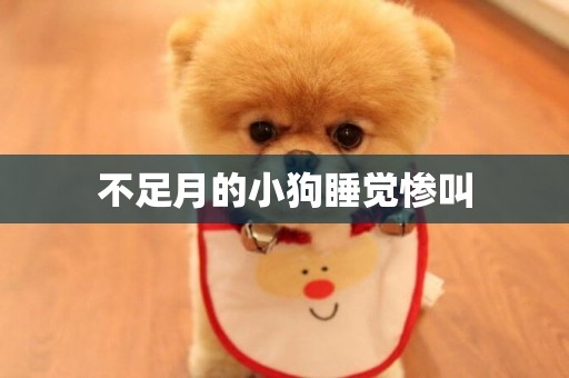 不足月的小狗睡覺慘叫