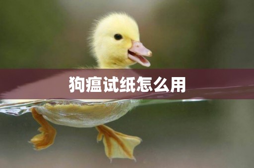 狗瘟試紙怎么用
