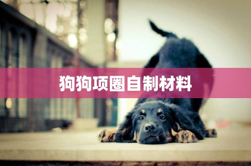 狗狗項圈自制材料