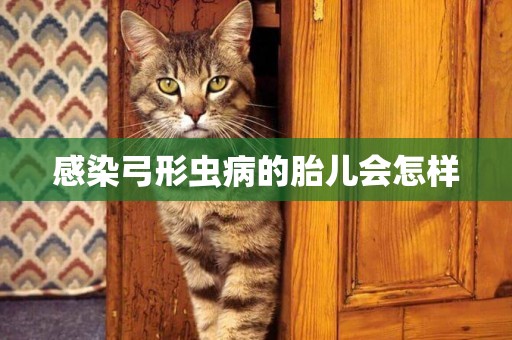 感染弓形蟲病的胎兒會怎樣