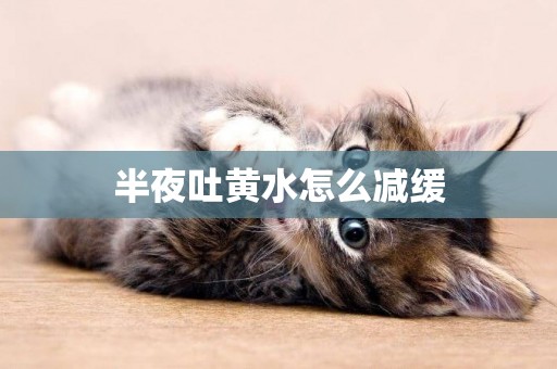 半夜吐黃水怎么減緩