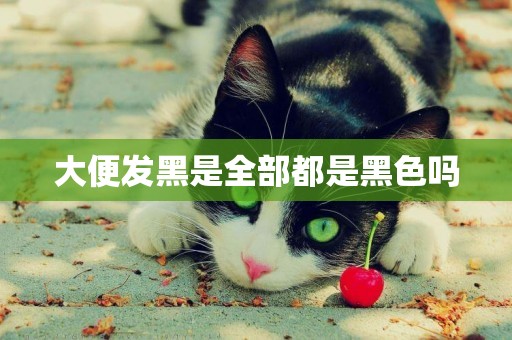 大便發黑是全部都是黑色嗎