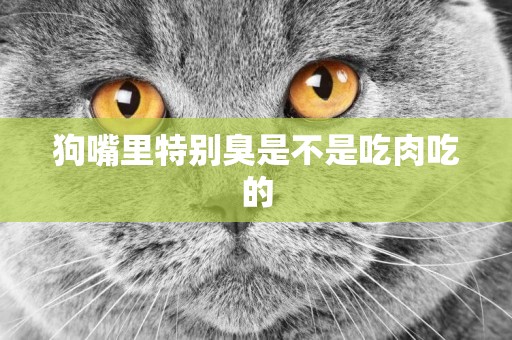 狗嘴里特別臭是不是吃肉吃的