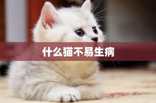 什么貓不易生病