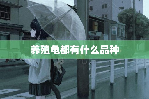 養殖龜都有什么品種