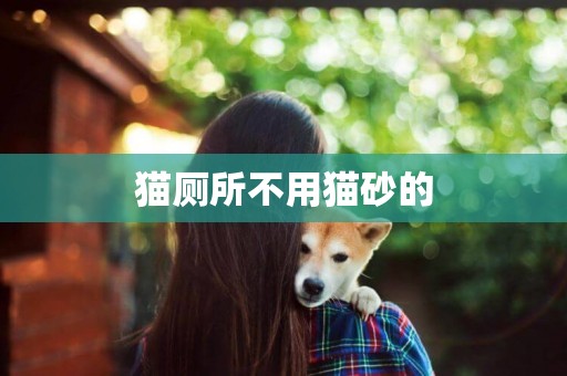 貓廁所不用貓砂的