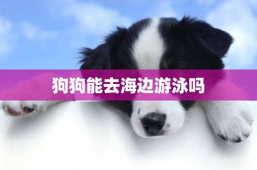 狗狗能去海邊游泳嗎