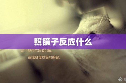 照鏡子反應什么