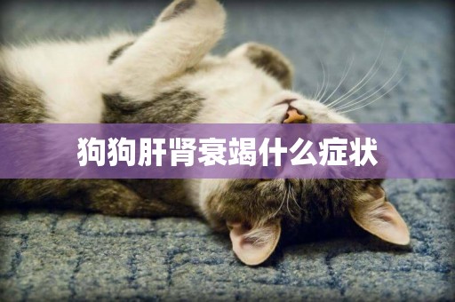 狗狗肝腎衰竭什么癥狀