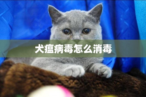犬瘟病毒怎么消毒
