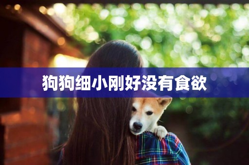 狗狗細小剛好沒有食欲
