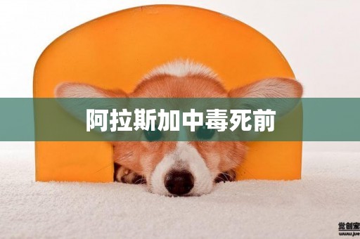 阿拉斯加中毒死前