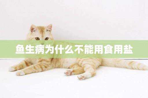 魚生病為什么不能用食用鹽