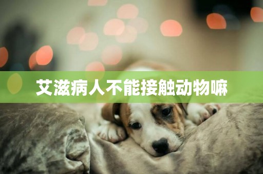 艾滋病人不能接觸動物嘛