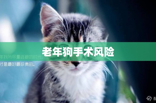 老年狗手術風險