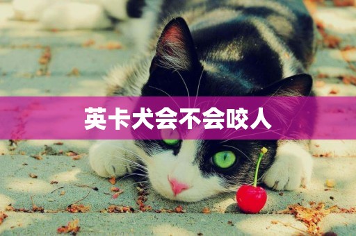 英卡犬會不會咬人