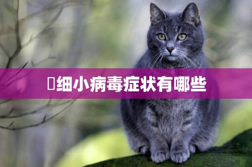 ?細小病毒癥狀有哪些