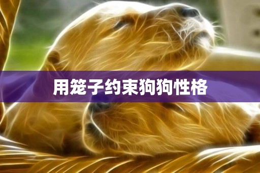 用籠子約束狗狗性格