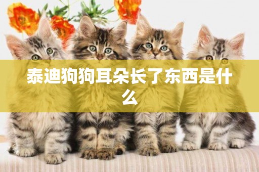 泰迪狗狗耳朵長了東西是什么