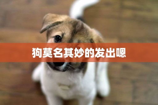 狗莫名其妙的發出嗯