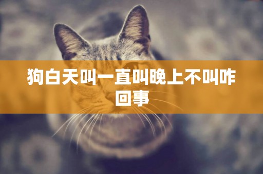 狗白天叫一直叫晚上不叫咋回事