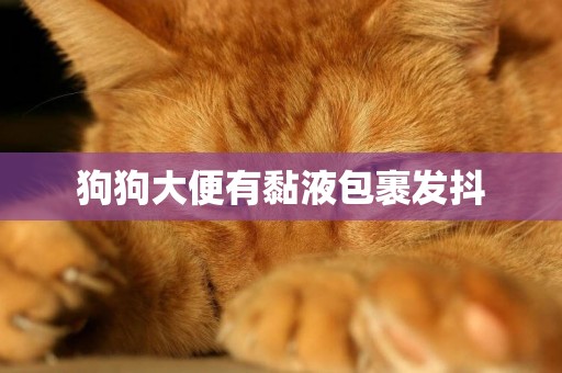 狗狗大便有黏液包裹發抖