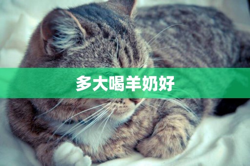 多大喝羊奶好