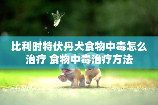 比利時特伏丹犬食物中毒怎么治療 食物中毒治療方法