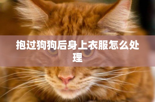 抱過狗狗后身上衣服怎么處理