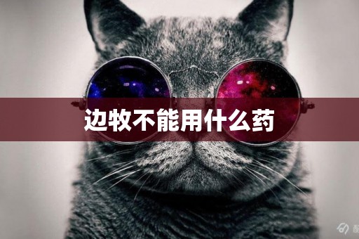 邊牧不能用什么藥
