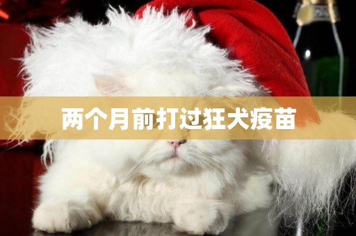 兩個月前打過狂犬疫苗