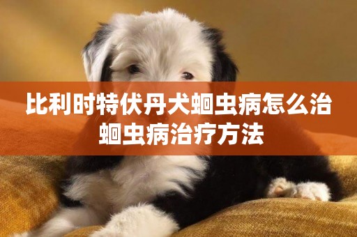 比利時特伏丹犬蛔蟲病怎么治 蛔蟲病治療方法