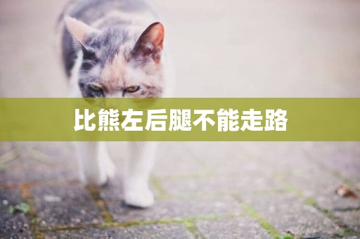 比熊左后腿不能走路